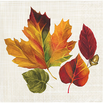 Signature Select Autumn Leaves Beverage Napkins - 16 Count - Image 1