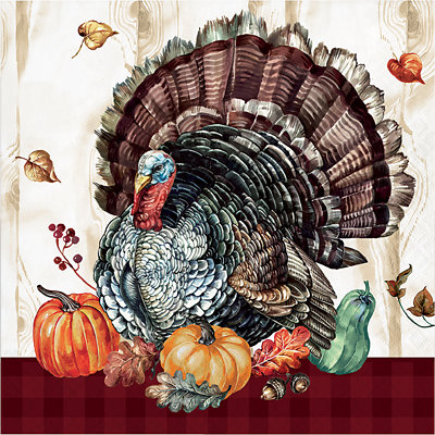 Signature Select Timeless Turkey Lunch Napkins - 16 Count - Image 1