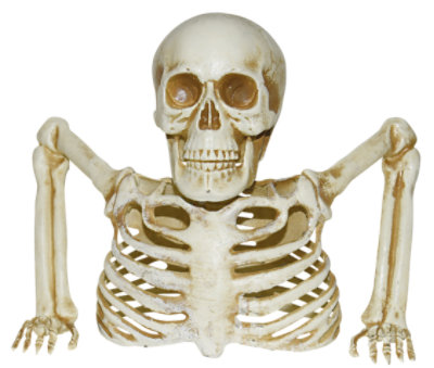 Suns Skeleton Groudbreaker - Each - Image 1