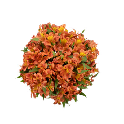 Orange Alstroemeria 9 Stem - Each - Image 1