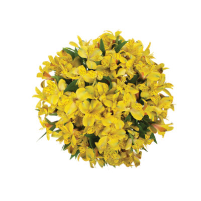 Yellow Alstroemeria 9 Stem - Each - Image 1