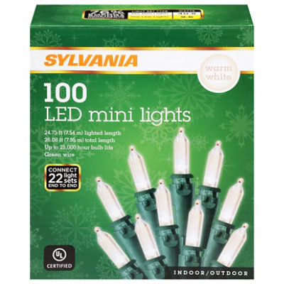 Inl Mini Warm White Led - 100 count - Image 1