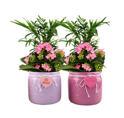 Dl Valentines Heart Mason Jar Small - 1 Each - randalls