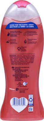 Softsoap Body Wash Fiji Nights - 20 Oz - Image 5