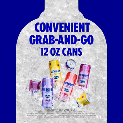 Absolut & Ocean Spray Variety Pack - 8-12 Fl. Oz. - Image 3