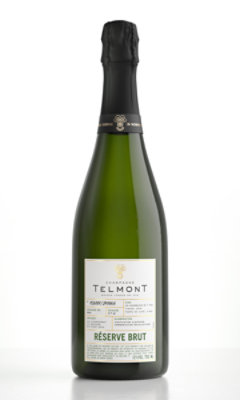 Telmont Champagne Reserve Brut Wine - 750 Ml - Image 1