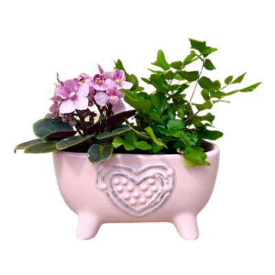Heart Bathtub 2 Inches - Each - Image 1