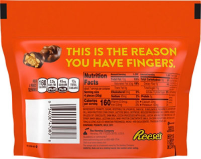 Reese's Unwrapped Cluster Bites Pouch Peanut Butter Caramel And Peanuts Covered In Chocolate - 7 Oz - Image 6