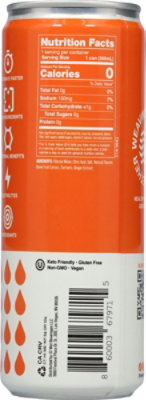 Wet Hydration Orange Mango Ginger Electrolyte - 12 Fl. Oz. - Image 6