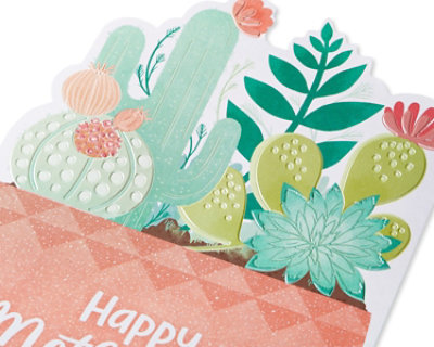 American Greetings Potted Succulent Mother’s Day Card - Each - Image 4