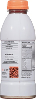 Barcode Pink Watermelon - 16.9 Fl. Oz. - Image 6