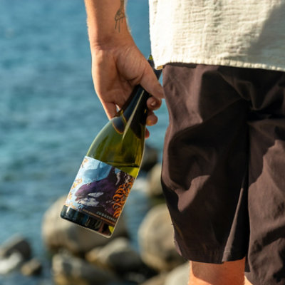 Juggernaut Sauvignon Blanc Wine - 750 Ml - Image 4