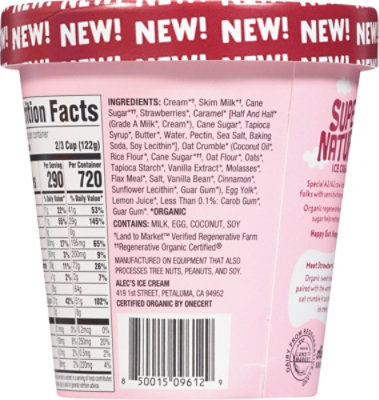 Alecs Ice Cream Strawberry Crumble Organic - 14 Fl. Oz. - Image 6