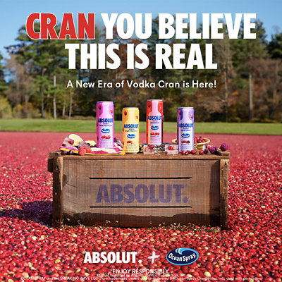 Absolut X Ocean Spray Pine - 1.42 Liter - Image 4
