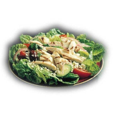 Chik N Zips Sliced Chicken Fajita Breast Fillet Strips - 10 Pound - Image 1
