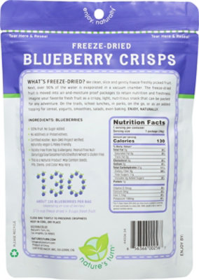 Nature's Turn Freeze Dried Blueberry Crisps - 1.2 Oz - Image 6