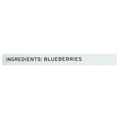 Nature's Turn Freeze Dried Blueberry Crisps - 1.2 Oz - Image 5