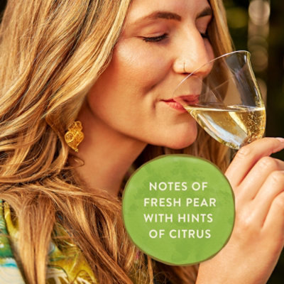 Santa Virdina Vinho Verde Wine - 750 Ml - Image 4