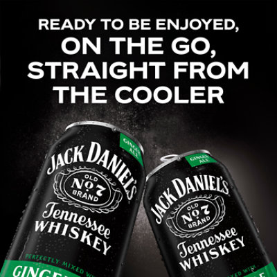 Jack Daniels And Ginger Ale 4 - 12 Fl. Oz. - Image 3