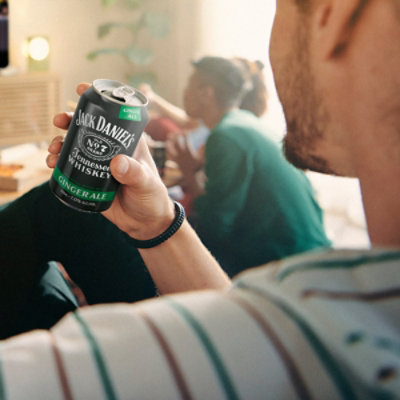 Jack Daniels And Ginger Ale 4 - 12 Fl. Oz. - Image 5