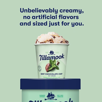 Tillamook Mint Chocolate Chip - 16 Fl. Oz. - Image 4