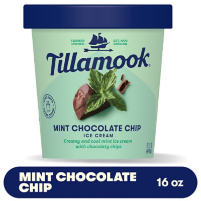 Tillamook Mint Chocolate Chip - 16 Fl. Oz. - Image 1