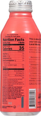 Local Weather Sport Beverage Fruit Punch - 16 Fl. Oz. - Image 6