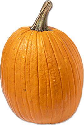 Organic Big Max Pumpkin - Each - Image 1