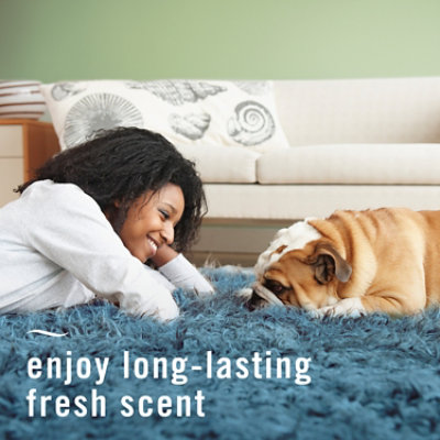 Febreze Fabric Refresher Pet Odor Fighter, Fresh Scent - 14.8 Fl. Oz. - Image 5