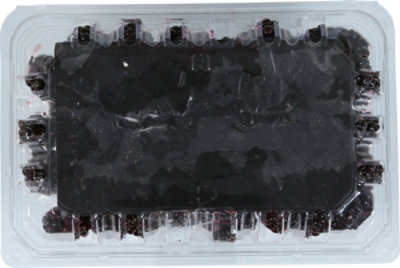 Signature Select Blackberries Sweet Karoline - 10 Oz - Image 3