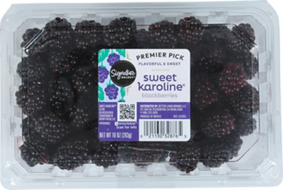 Signature Select Blackberries Sweet Karoline - 10 Oz - Image 1