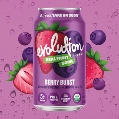 Evolution Fresh Organic Berry Burst Soda - 12 Fl. Oz. - Image 2