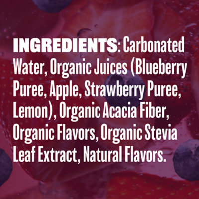 Evolution Fresh Organic Berry Burst Soda - 12 Fl. Oz. - Image 3