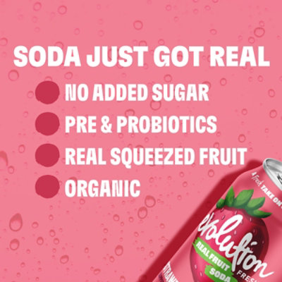 Evolution Fresh Organic Strawberry Vanilla Soda - 12 Fl. Oz. - Image 4