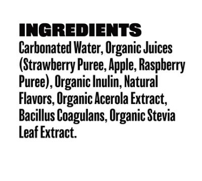 Evolution Fresh Organic Strawberry Vanilla Soda - 12 Fl. Oz. - Image 6