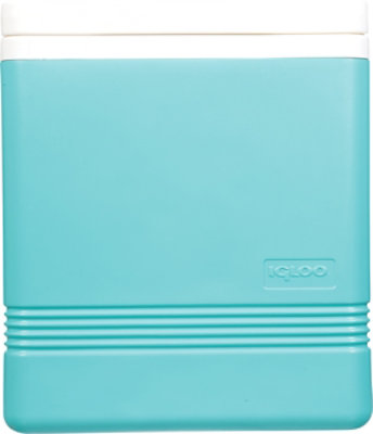 Iglo 17qt Legend 24 Coolr Teal - Each - Image 4