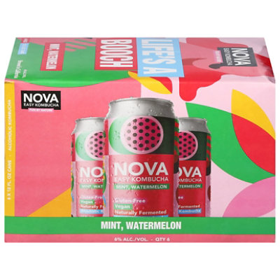 Nova Easy Kombucha Watermelon Mint 6 pack In Cans - 12 Fl. Oz. - Image 3