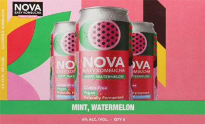 Nova Easy Kombucha Watermelon Mint 6 pack In Cans - 12 Fl. Oz. - Image 6