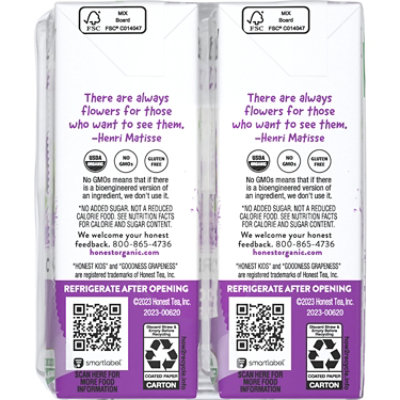 Honest Kids Goodness Grapeness Cartons 8 Pack - 6 Fl. Oz. - Image 2