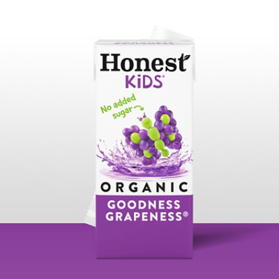 Honest Kids Goodness Grapeness Cartons 8 Pack - 6 Fl. Oz. - Image 4