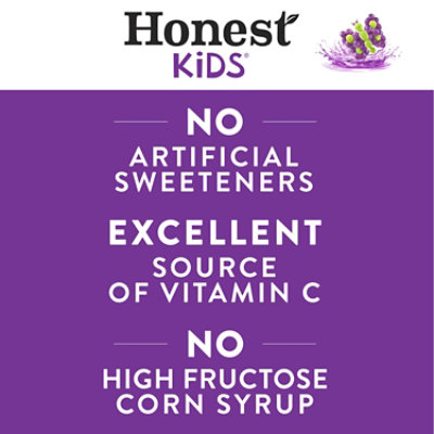 Honest Kids Goodness Grapeness Cartons 8 Pack - 6 Fl. Oz. - Image 3