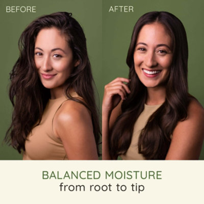 Aveeno Oat Milk Blend Moisturizing Shampoo, Ultra-Hydrating, For Dry, Damaged Hair, 12 Fl Oz - Image 2