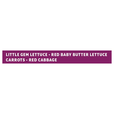 Earthbound Farm Organic Little Gem Butter Crunch - 5.5 Oz. - Image 4