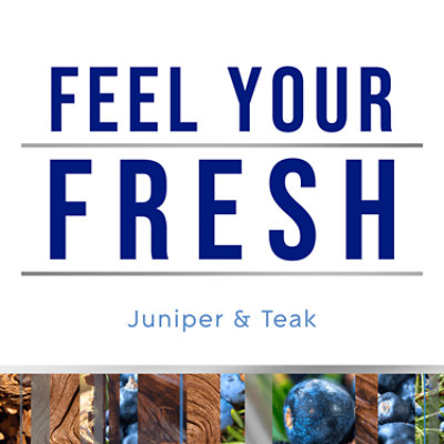 Glade Fresh Plugins Scented Oil Refills Juniper & Teak - 5-.67 Fl. Oz. - Image 4