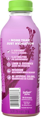 Bolthouse Hydration Plus Strawberry Acai - 15.2 Fl. Oz. - Image 5