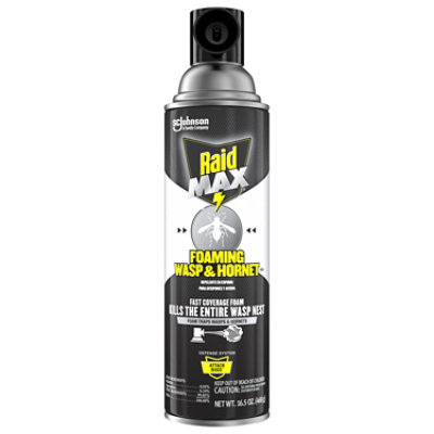 Raid Max Foaming Wasp & Hornet 16.5 Oz - 16.5 OZ - Image 1