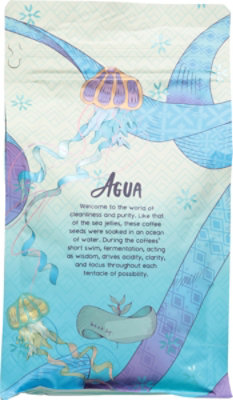 Dark Matter Coffee Single Origin Washed Whole Bean - 12 Oz - Image 3