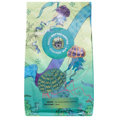 Dark Matter Coffee Single Origin Washed Whole Bean - 12 Oz - Image 1