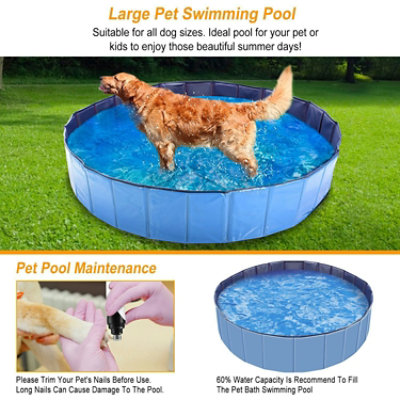 Eggracks by Global Phoenix Portable Foldable Pet Swimming Pool - Cool Off Your Furry Friends - Image 4