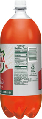 Canada Dry Fruit Splash - 2 Liter - Image 6